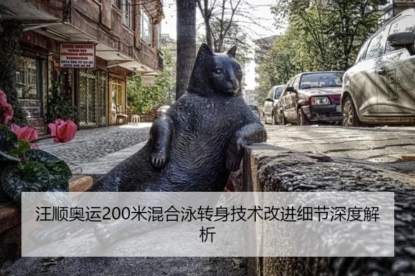 wang-shun-ao-yun-mi-hun-he-yong-zhuan-shen-ji-shu-gai-jin-xi-jie-shen-du-jie-xi-3-274.jpg