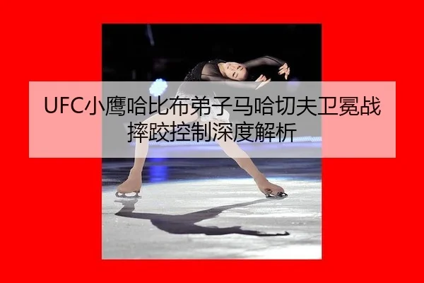 xiao-ying-ha-bi-bu-di-zi-ma-ha-qie-fu-wei-mian-zhan-shuai-jiao-kong-zhi-shen-du-jie-xi-2-712.jpg