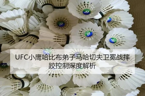 xiao-ying-ha-bi-bu-di-zi-ma-ha-qie-fu-wei-mian-zhan-shuai-jiao-kong-zhi-shen-du-jie-xi-3-606.jpg
