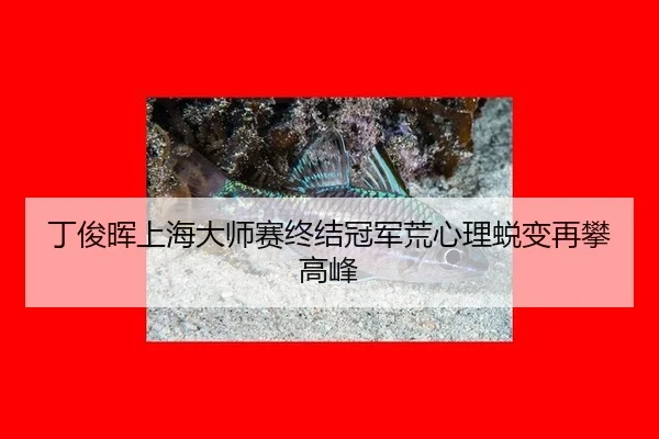 ding-jun-hui-shang-hai-da-shi-sai-zhong-jie-guan-jun-huang-xin-li-tui-bian-zai-pan-gao-feng-3-373.jpg
